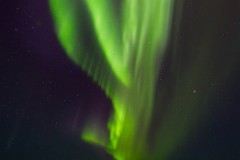IMG_1333