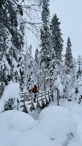 Posio: Ruhiger Stopp in Lappland