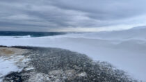 Berlevåg: Küste, Wind und Barentssee