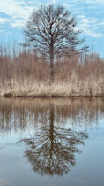 Kolkja: Altgläubige und Dörfer am Peipussee